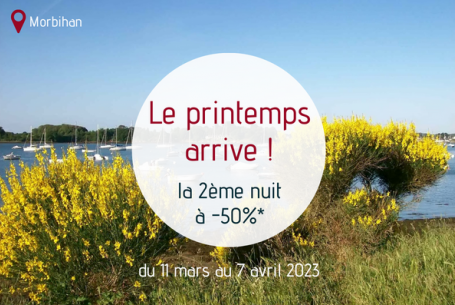 Promotion appart hotel vannes